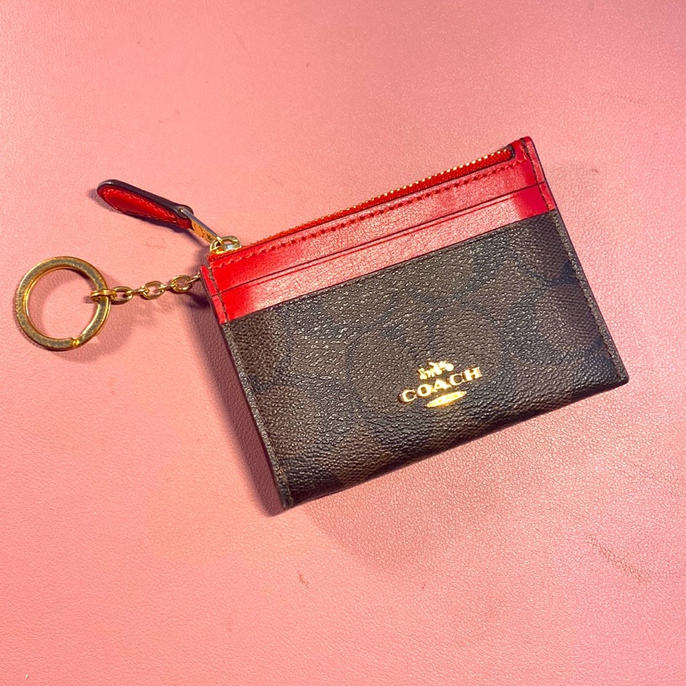 COACH MINI SKINNY ID CASE IN SIGNATURE CANVAS